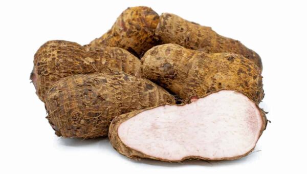Malanga