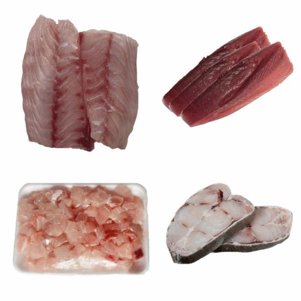 combo mixto de pescado