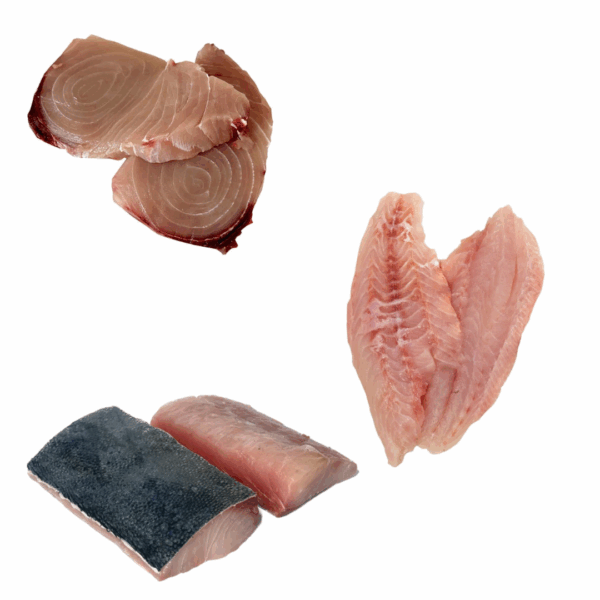 combo super filetes