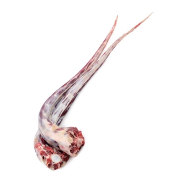 Rabo de Res Porcionado kg
